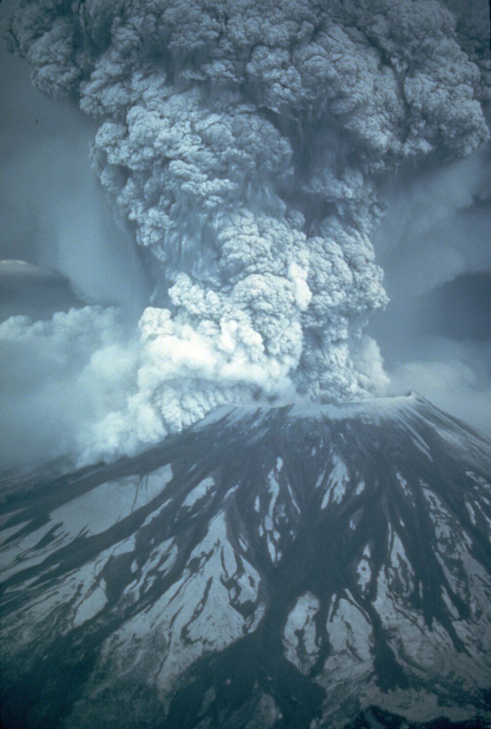 Mount St Helens erupts